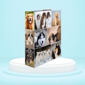 Biblioraft A4, plastifiat,...