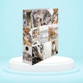 Biblioraft A4, plastifiat,...