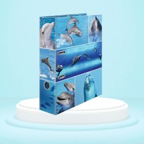 Biblioraft A4, plastifiat,...